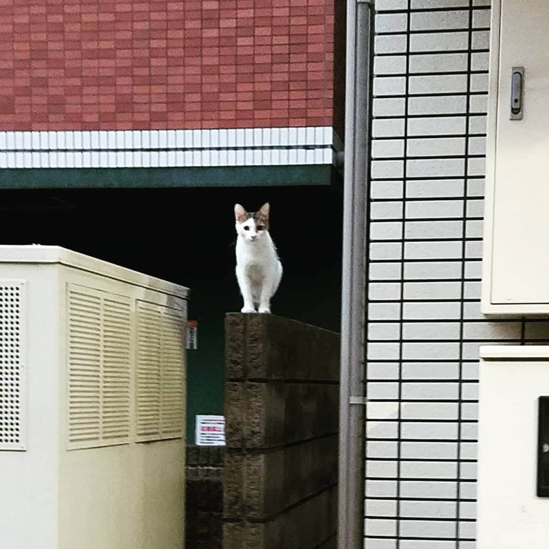 寺尾大樹（うどんマン）のインスタグラム