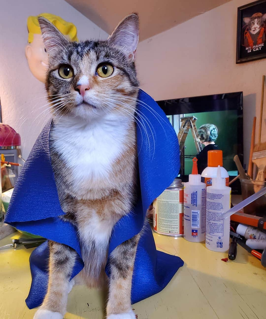 猫コスプレさんのインスタグラム写真 - (猫コスプレInstagram)「Pike is doing so well getting fitted for this next costume. Minor minor hint.  #Preview #catcosplay #CatModel」9月13日 5時46分 - cat_cosplay