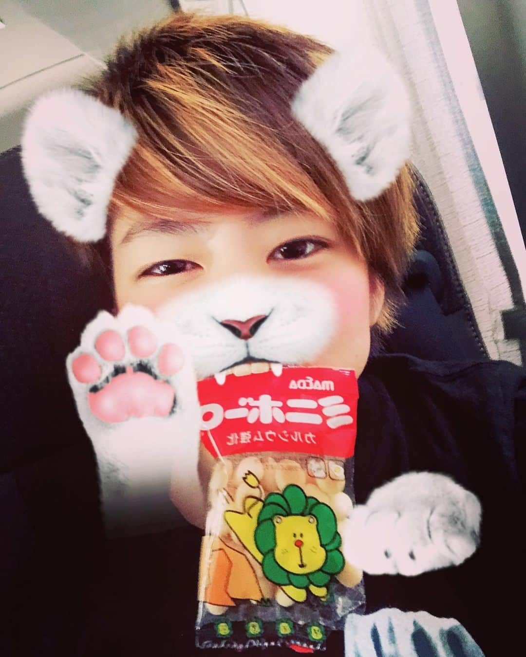 小野崎玲皇のインスタグラム：「たまごボーロ食べたよ🦁 ライオン柄だった🦁」