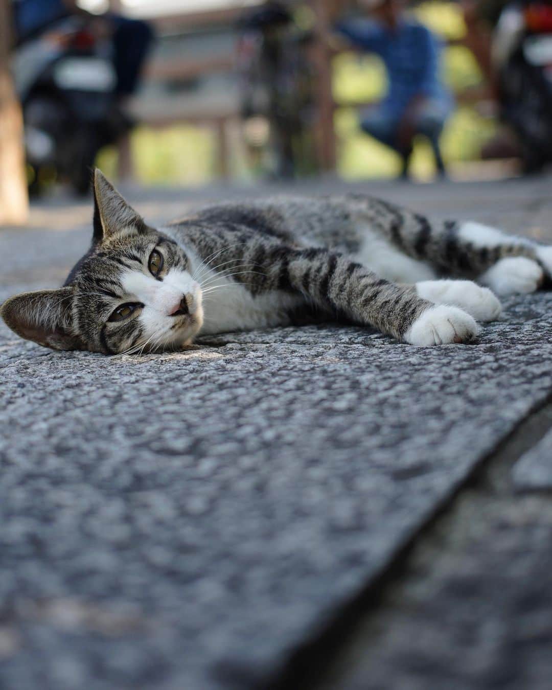 иαяα & куσтσ νιятυαℓ ωσяѕhιρのインスタグラム