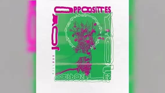 Adamのインスタグラム：「NEW SONG ‘PILLBUG’ OUT TODAY!  Link In Bio #joyopposites #craftrockbrewing」