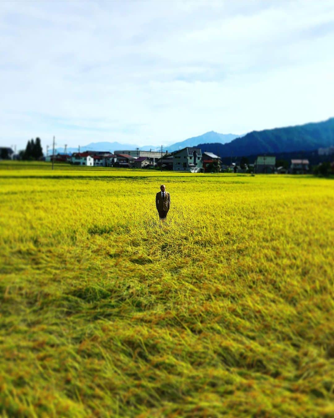 あばれる君さんのインスタグラム写真 - (あばれる君Instagram)「KA・KA・SHI #米 #コシヒカリ」9月13日 8時45分 - abarerukun
