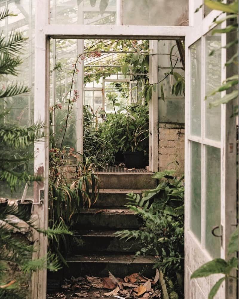 のインスタグラム：「Forde Abbey House and gardens. Photo by Haarkon, via @condenasttraveller」