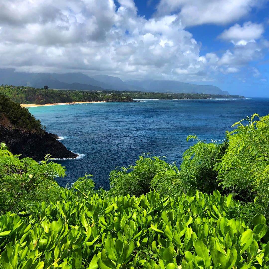 アメリカ内務省さんのインスタグラム写真 - (アメリカ内務省Instagram)「Aloha from the lush island of Kaua'i -- home of Kīlauea Point National Wildlife Refuge in #Hawaii. Draped in emerald green, Kaua'i is nicknamed the "Garden Island" because of all that thrives there. #Kīlauea Point National Wildlife Refuge provides stirring coastline views with tropical rainforests and verdant valleys, juxtaposed by its rugged cliffs. As you enjoy the sound of the waves and spend time in #nature, keep on the lookout for the plentiful marine and birdlife. It's a place full of life. Photo by Timothy Burton (www.sharetheexperience.org). #usinterior #birding #nationalwildliferefuge」9月13日 9時09分 - usinterior