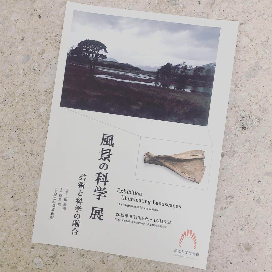桐島かれんさんのインスタグラム写真 - (桐島かれんInstagram)「上野の国立科学博物館にて展示されている、佐藤卓さんのとてもユニークな企画展「風景の科学展・芸術と科学の融合」。本展では、夫・上田義彦の写真を国立科学博物館の研究者が解説し、対象物と共に展示されています。 「芸術と科学の融合」、、ご興味のある方は是非、国立科学博物館までお運びください。 https://www.kahaku.go.jp/event/2019/09landscape/ #上田義彦 #佐藤卓 #国立科学博物館」9月13日 10時01分 - houseoflotuskaren