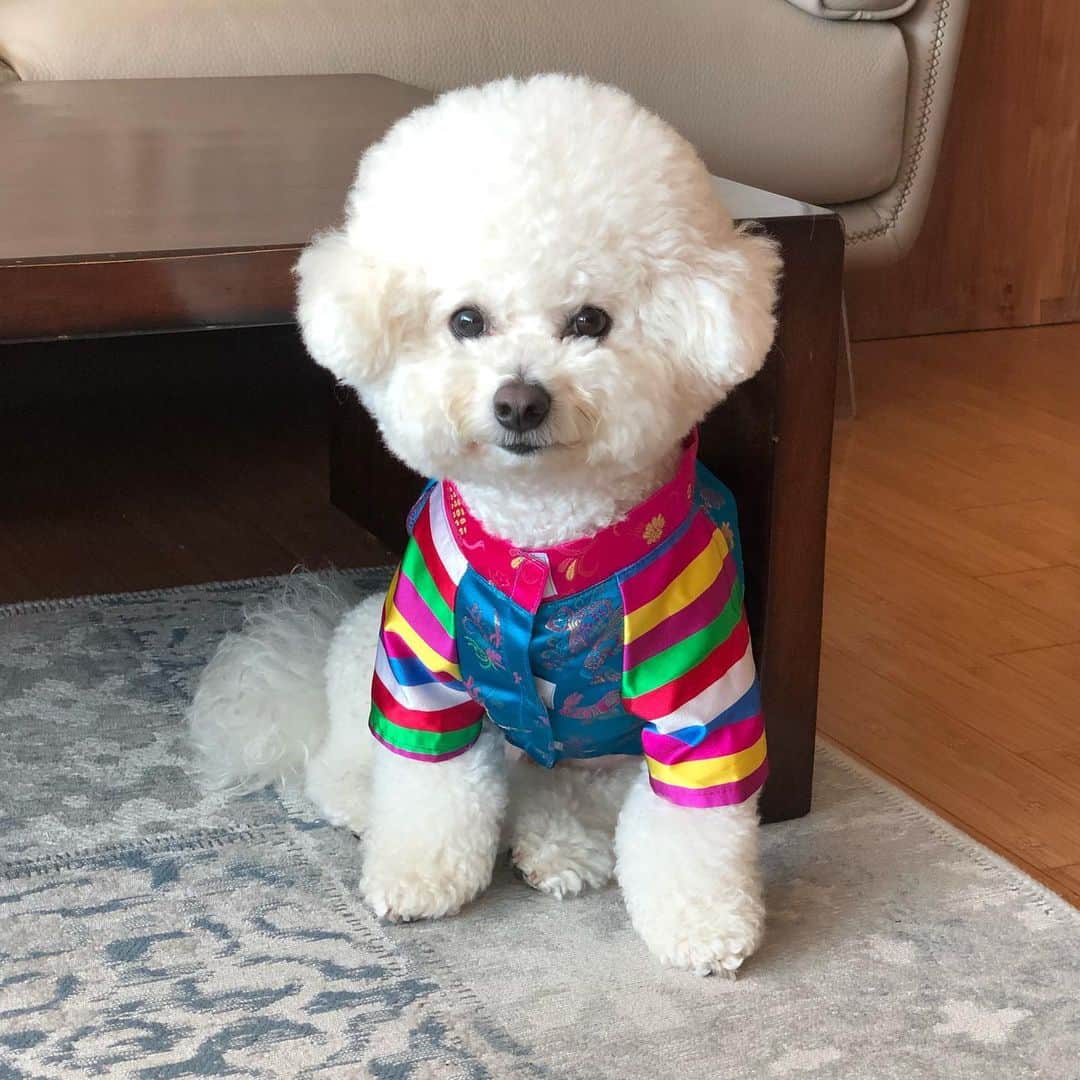 シン・セギョンのインスタグラム：「즐거운 한가위 되세요❣️#사랑이」