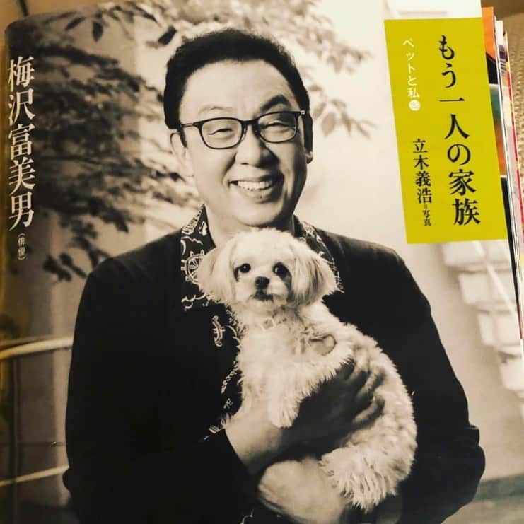 梅沢富美男さんのインスタグラム写真 - (梅沢富美男Instagram)「立木義浩さんが、自宅で僕と夢子を撮影してくれました。 発売中の文藝春秋に掲載されてます。 夢子ちゃんにメロメロの僕を見てください。」9月13日 10時12分 - tomioumezawa