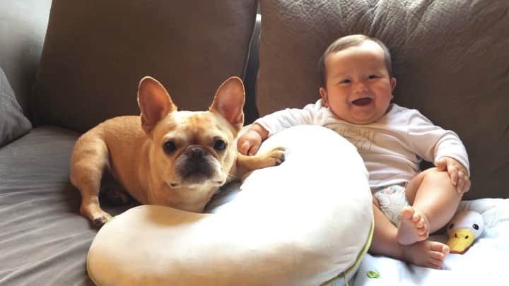 Hamlinのインスタグラム：「#tbt to the time my roommate ate too many Cheerios and decided to stay up late past 6:15pm to watch Bohemian Rhapsody. We were such rule breakers back then. 👦🏻🐶 .......... #family #brothers」