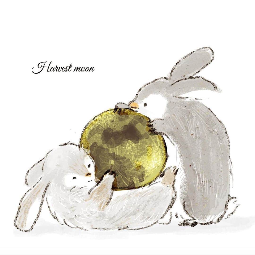 momoroさんのインスタグラム写真 - (momoroInstagram)「#中秋の名月 　おつきさま #moon#momoro #illustration #bunny #うさぎ#月#イラスト#ももろ」9月13日 11時36分 - momoro6666