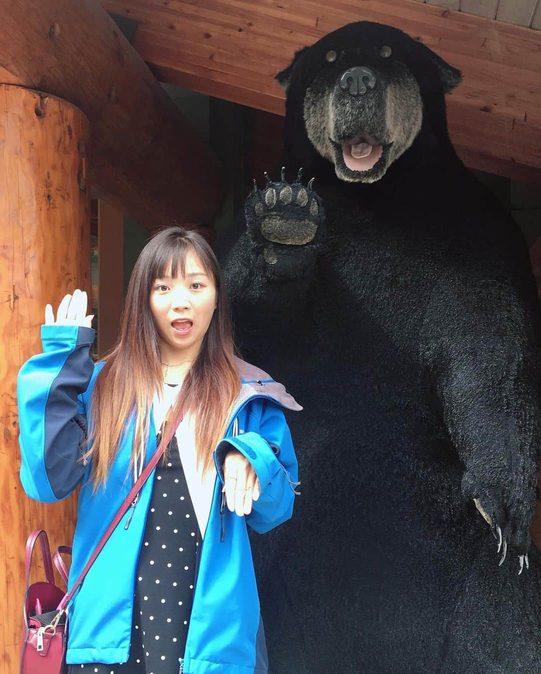 天舞音さらさんのインスタグラム写真 - (天舞音さらInstagram)「クマに会いたい クマに会いたい クマに会いたーいっ🧸  って言い続けてたけど。 リアル熊見れず。無念。。 バンフで見かけたのは 鹿だけだったー🦌  I expected to be able to see wild bears in banff!!!but i couldn't ...😭😭. I only took pictures with dolls of bear 🐻 lol  #banff#canada#workingholiday」9月13日 13時20分 - sara.amane