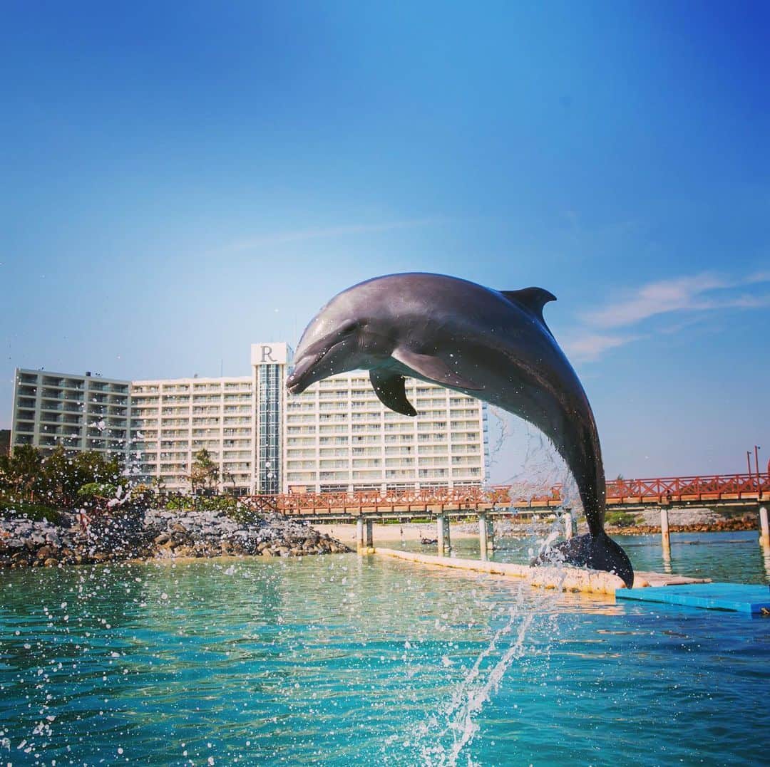 【公式】ルネッサンスリゾートオキナワのグルメインスタ