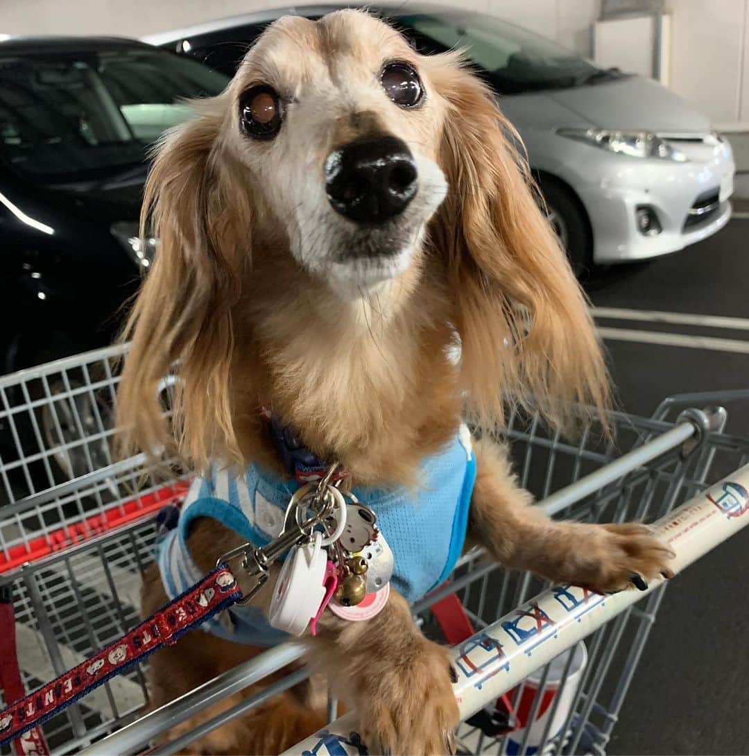 向日葵?のグルメインスタ