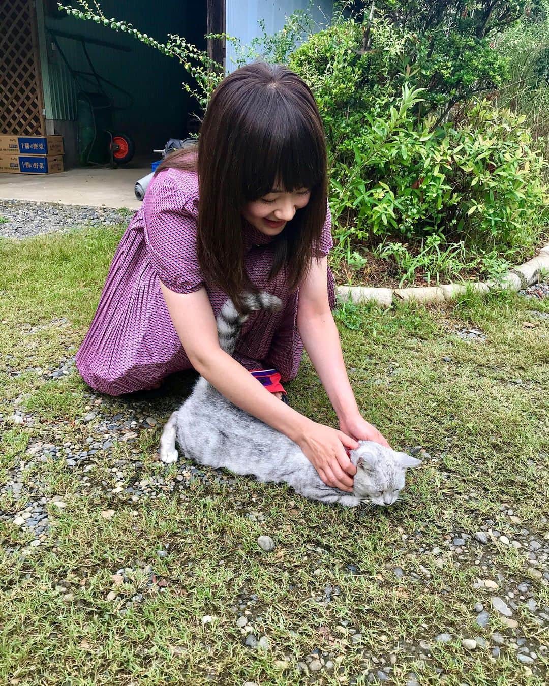 TBS ドラマ「凪のお暇」のインスタグラム：「いよいよ来ました！凪のお暇 第9話 今夜です！あと2話です！  #凪のお暇 #撮影の合間の凪ちゃん #慎二でもなく #ゴンでもなく #にゃんこにメロメロ #みなさんは誰にメロメロ？ #佳境です #凪も慎二もゴンも #そして撮影も！！ #黒木華 #高橋一生 #中村倫也」