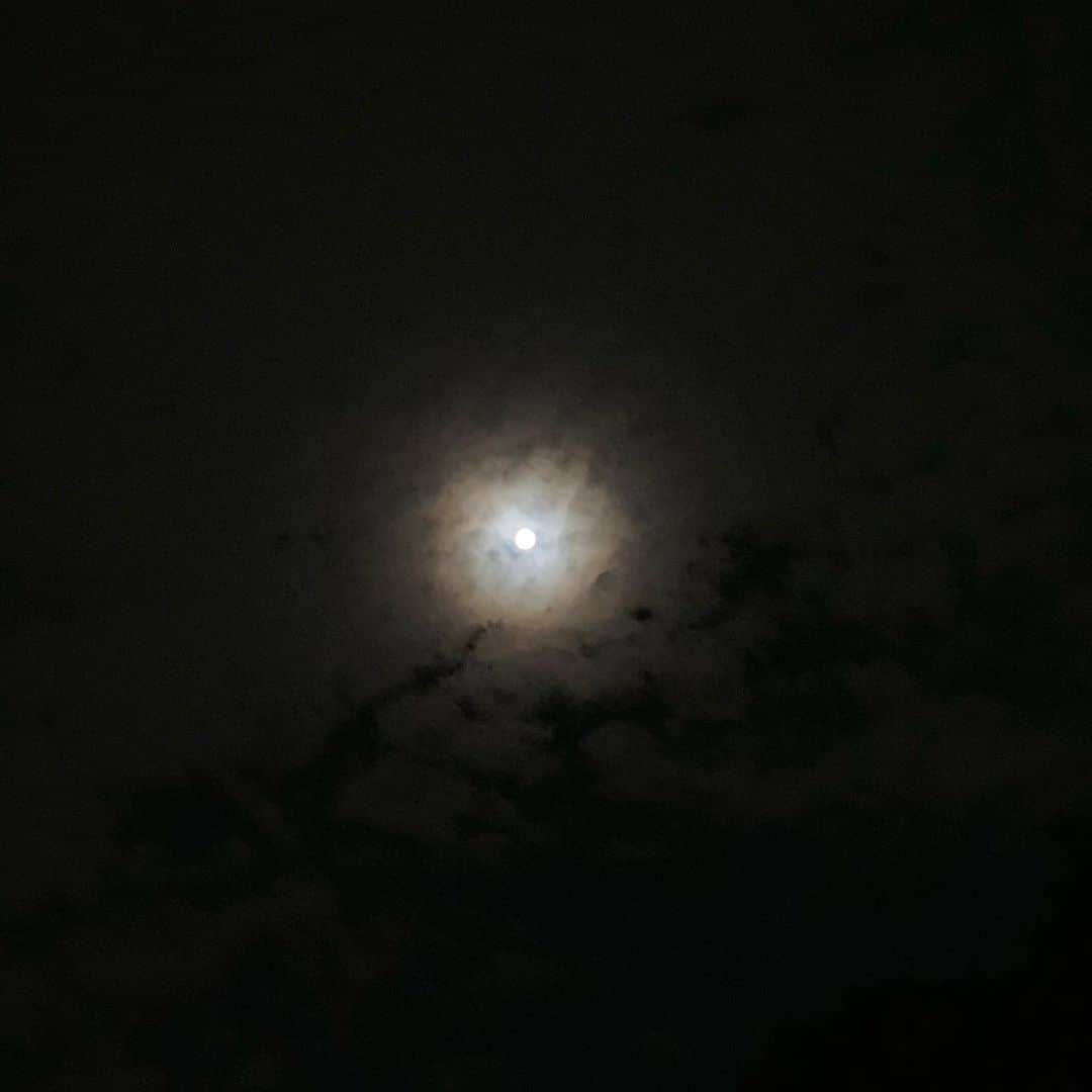 のインスタグラム：「. 中秋の名月🌕🎑 . #9月13日 #中秋の名月 #お月見 #お団子 #十五夜 #ススキはないですが #風情 #福西崇史 #こんな月もいいもんだ #instagood #instaphoto」