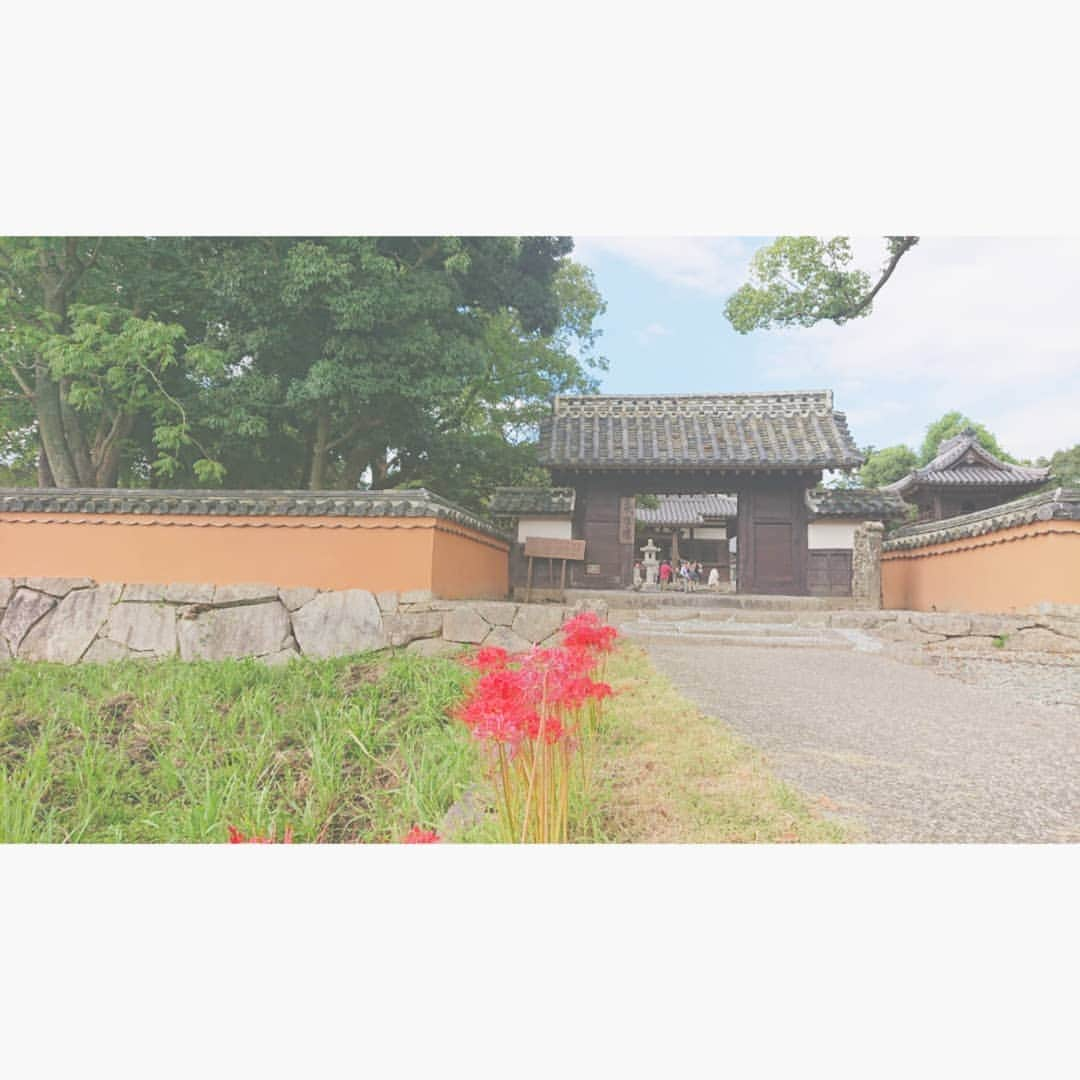 加藤沙知さんのインスタグラム写真 - (加藤沙知Instagram)「観世音寺  心穏やかになるひとときを過ごさせて頂きました。  日本最古の梵鐘(2枚目)や、 平安時代から鎌倉時代にかけての仏像の佇まいには息をのみました。  ツアーの解説は、MRTラジオでご一緒している大館真晴教授です。 大変分かりやすい解説をしてくださり、私も参加者の皆さんと一緒に学びました！  #観世音寺 #太宰府 #鐘 #日本最古 #仏像 #MRTラジオ #大清観光バスで行く令和ゆかりの日帰りバスツアー #令和」9月14日 0時43分 - mrt.kato