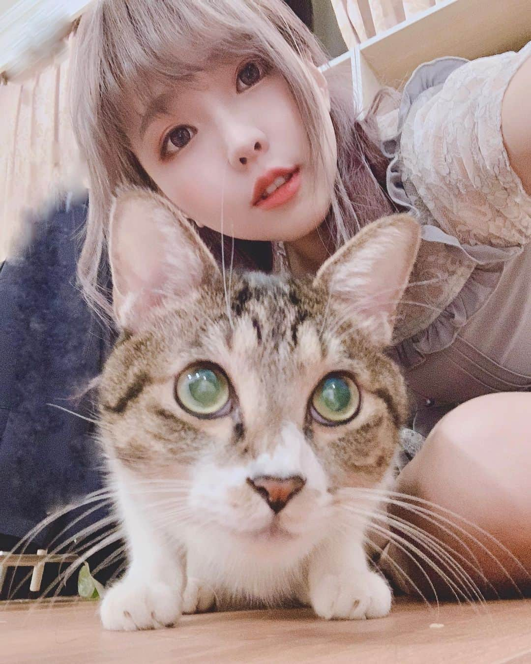 Elyさんのインスタグラム写真 - (ElyInstagram)「Two round faces 😳 臉圓如我倆～中秋快樂！ #elycosplay #blessed #dailyely #elydaily #Regal #cat #catsofinstagram」9月14日 0時49分 - eeelyeee