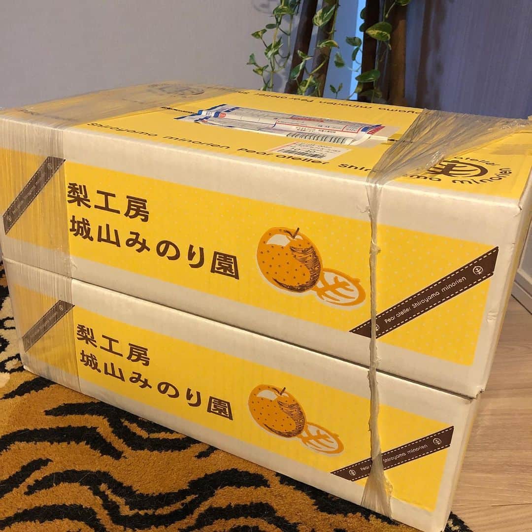 池田有希子のインスタグラム：「今回の台風で落果した千葉の梨をgood morning N°5「どうしようもなくて、衝動」の陣中見舞いにいただきました！いでれーちゃん @Idere_ のお陰で「食べて応援」させていただいちゃった。めっちゃくちゃ美味！被災された方々に被害を払拭するハッピーとラッキーが訪れるよう私も出来ることを粛々と。」