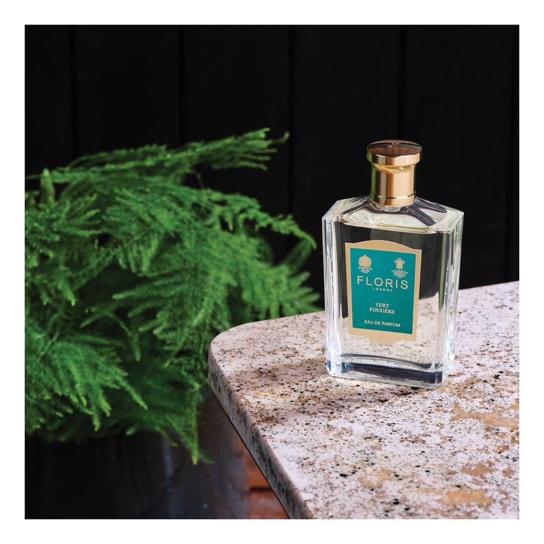 フローリスさんのインスタグラム写真 - (フローリスInstagram)「Both fresh and warm in equal measure, Vert Fougère Eau de Parfum. #FlorisLondon #VertFougere #Fougere #AutumnFragrance #Luxury #EaudeParfum #Perfume #AutumnPerfume #WeekendScent」9月14日 1時28分 - florislondon