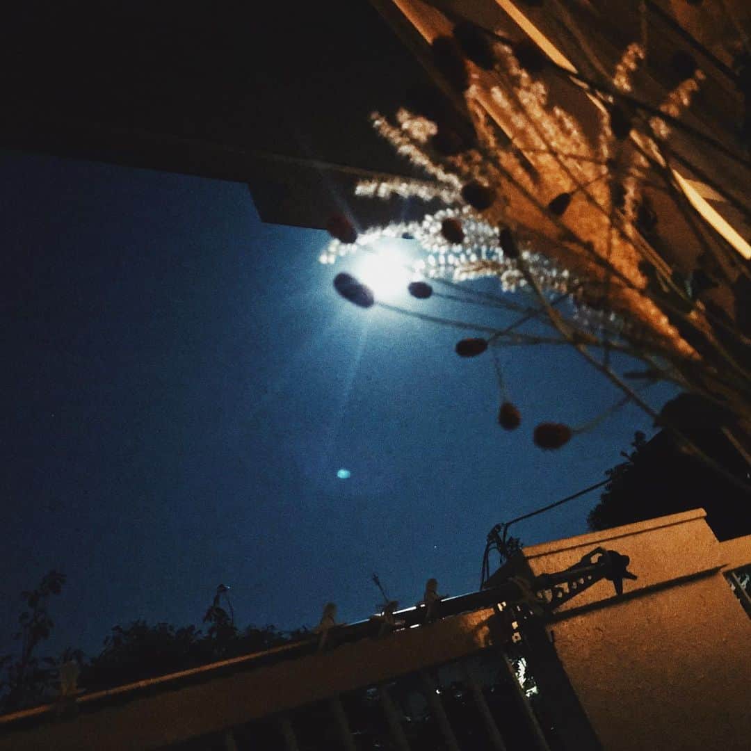 田中裕介さんのインスタグラム写真 - (田中裕介Instagram)「月見。」9月14日 1時36分 - tnkusk