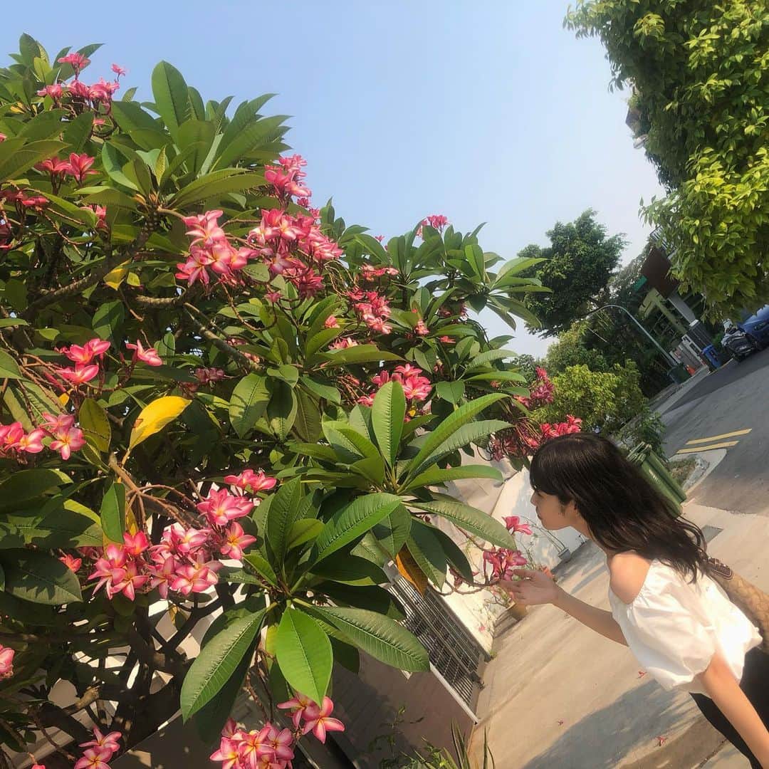 小川沙樹さんのインスタグラム写真 - (小川沙樹Instagram)「シンガポール旅行から帰ってきました✈️ ついつい写真を撮りすぎてしまったので少しずつ載せます！！」9月13日 18時01分 - ogawa__saki