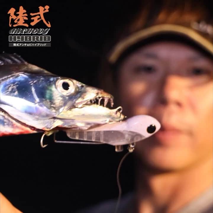 ジャッカルのインスタグラム