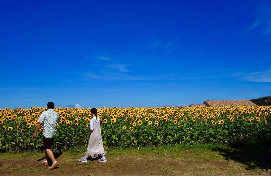 上白石萌音さんのインスタグラム写真 - (上白石萌音Instagram)「明朝8:30〜放送の「にじいろジーン」 ぐっさんと横須賀を旅しました。 魅力たっぷりです！ぜひご覧ください☺︎ ハプニング、と言うか、わ！ってことがあったけれど放送されるだろうか…😏」9月13日 18時39分 - mone_kamishiraishi