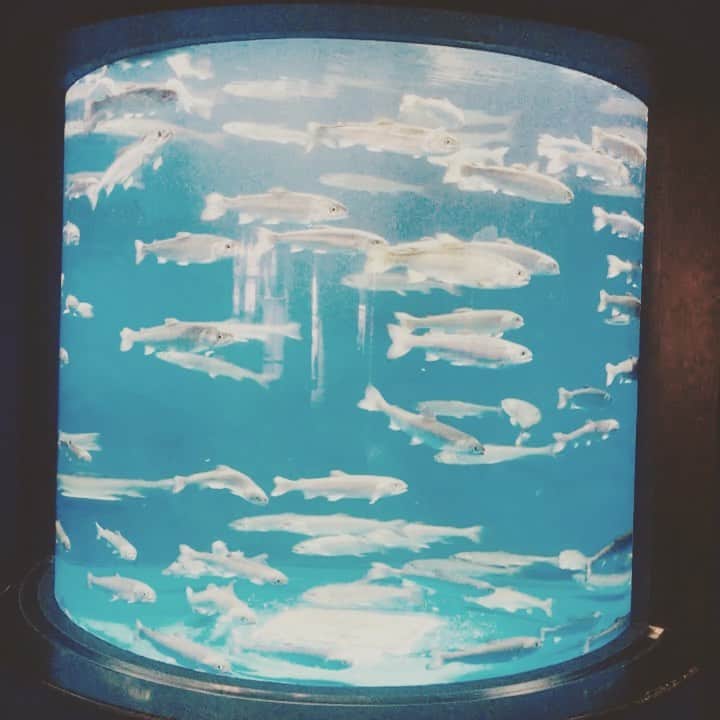 鎌田梢のグルメインスタ