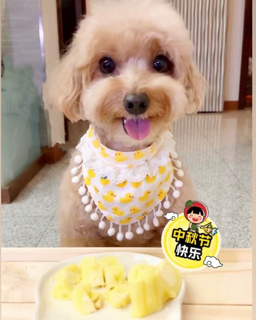 のインスタグラム：「📆(13Sep19)🏮🎊🥮 ㊗️Happy Mid-Autumn Festival #中秋快乐 #mooncakefestival #midautumnfestival」
