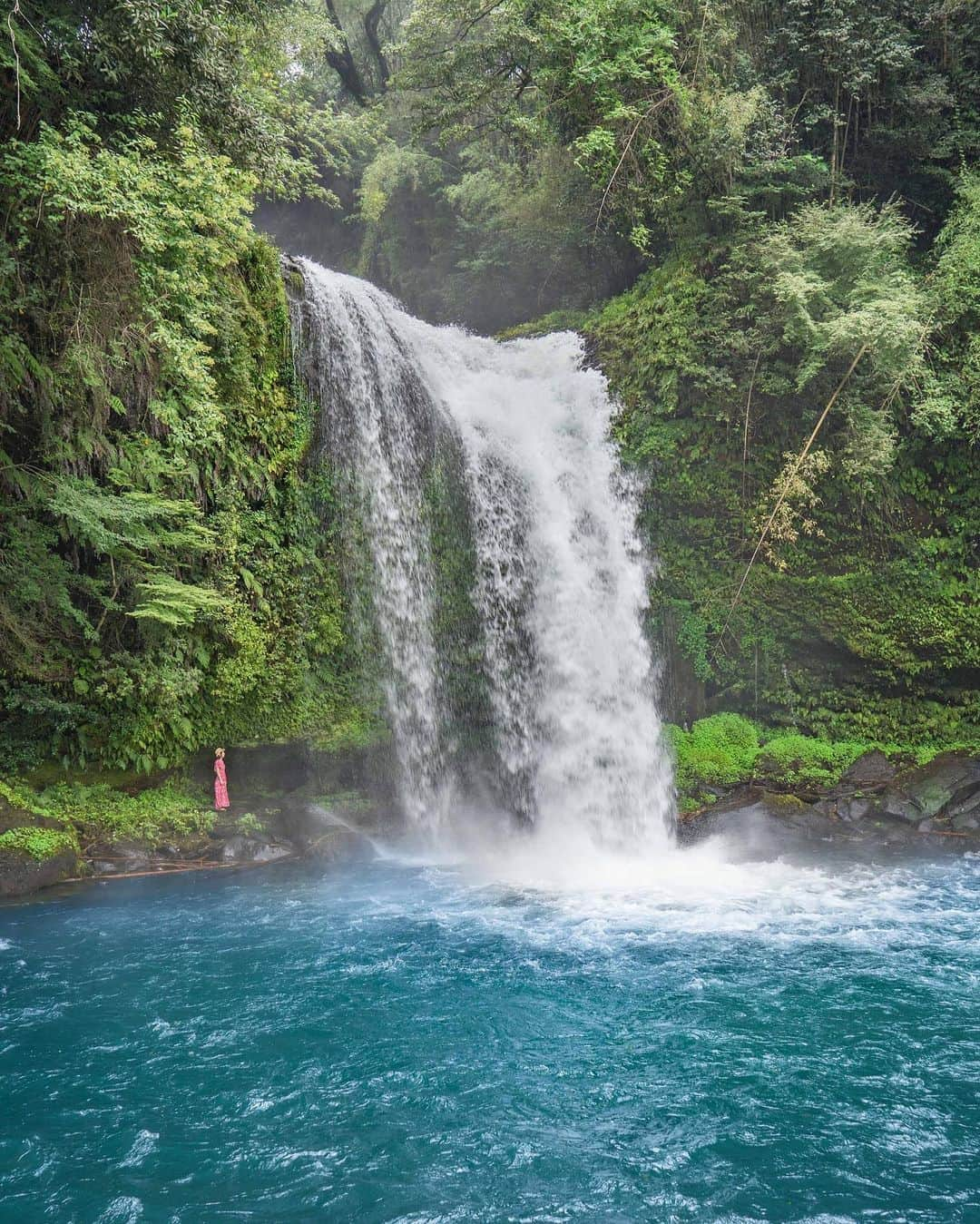 詩歩さんのインスタグラム写真 - (詩歩Instagram)「💦﻿ ﻿ 裏から見れる、大迫力の慈恩の滝！﻿ A impressive waterfall in Oita, where you can see from the back.﻿ ﻿ 大分県にある #慈恩の滝 は、高さ30mの滝。﻿ エメラルドグリーンに色づく滝壺に、勢いよく注ぎ込む二段の滝が大迫力！！！﻿ ﻿ 雨の翌日に行ったのもあり、水量がはんぱない！﻿ 滝の左側にいるピンク色の小人＝ワタシなのですが、この時点でびしょびしょ💦笑﻿ ﻿ まさにマイナスイオン”瀑”発中でした。﻿ ﻿ 写真で私が立っている場所は遊歩道になっていて、左側から入って滝の裏側を抜け、右側まで歩けます。﻿ ﻿ 鍋ヶ滝（熊本）も有名だけど、裏から見られる滝って珍しいから、﻿ ぜひびしょ濡れ覚悟で歩いてみてくださいね👍﻿ ﻿ すぐとなりに道の駅があるので、駐車場から歩いてすぐ行けますよ👍﻿ （先日upした #伐株山 のブランコと同じ玖珠町！）﻿ ﻿ ✈️お仕事で大分県を巡りました！写真はこのTagでアップしていきます﻿ #shiho_oita﻿ ﻿ ﻿ 📍慈恩の滝／大分県　玖珠町﻿ 📍Jion-no-taki waterfall／Oita Japan﻿ ﻿ ﻿ ﻿ ©詩歩／Shiho﻿」9月13日 20時53分 - shiho_zekkei