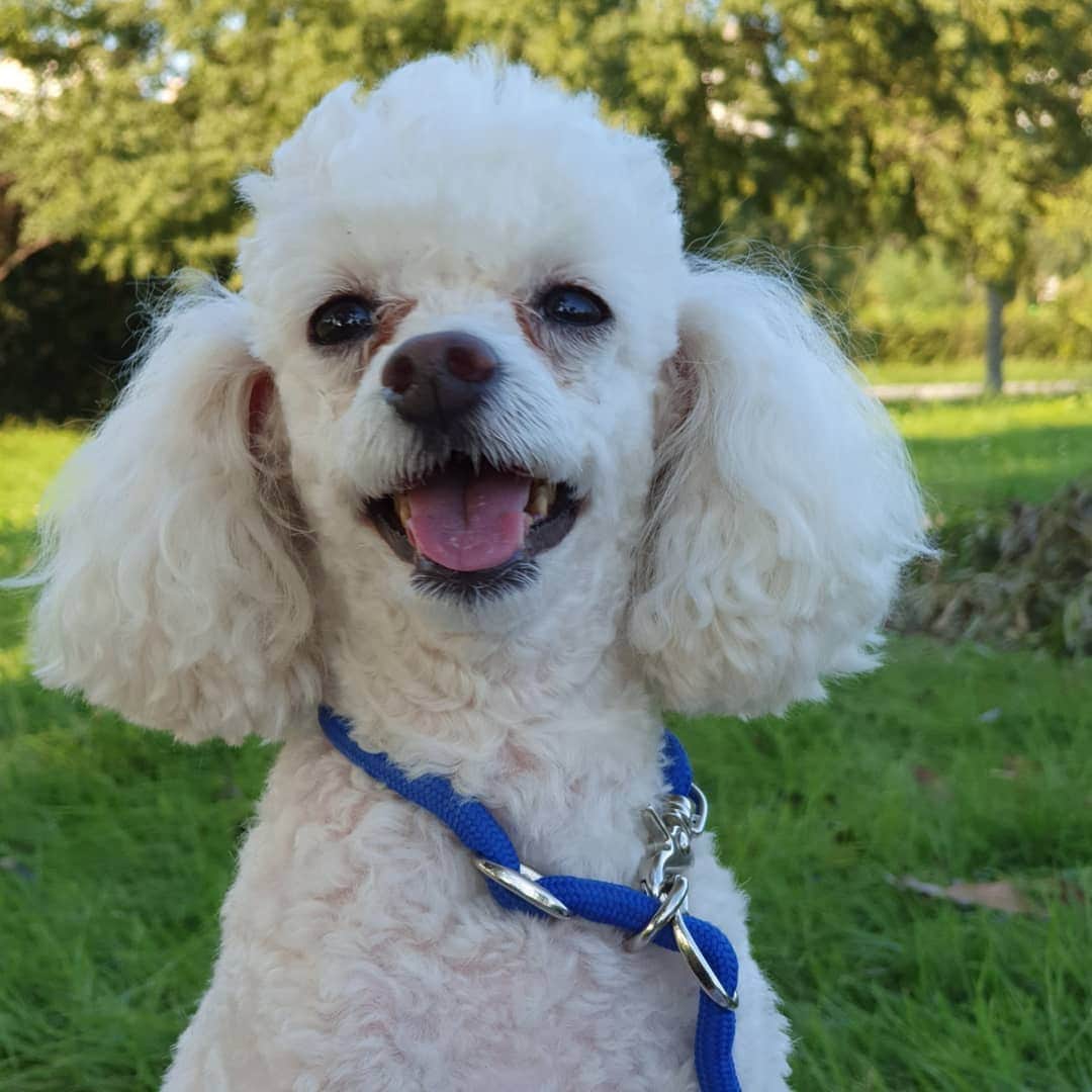 カン・ソラのインスタグラム：「#happysmile #Minky #기분이좋다」