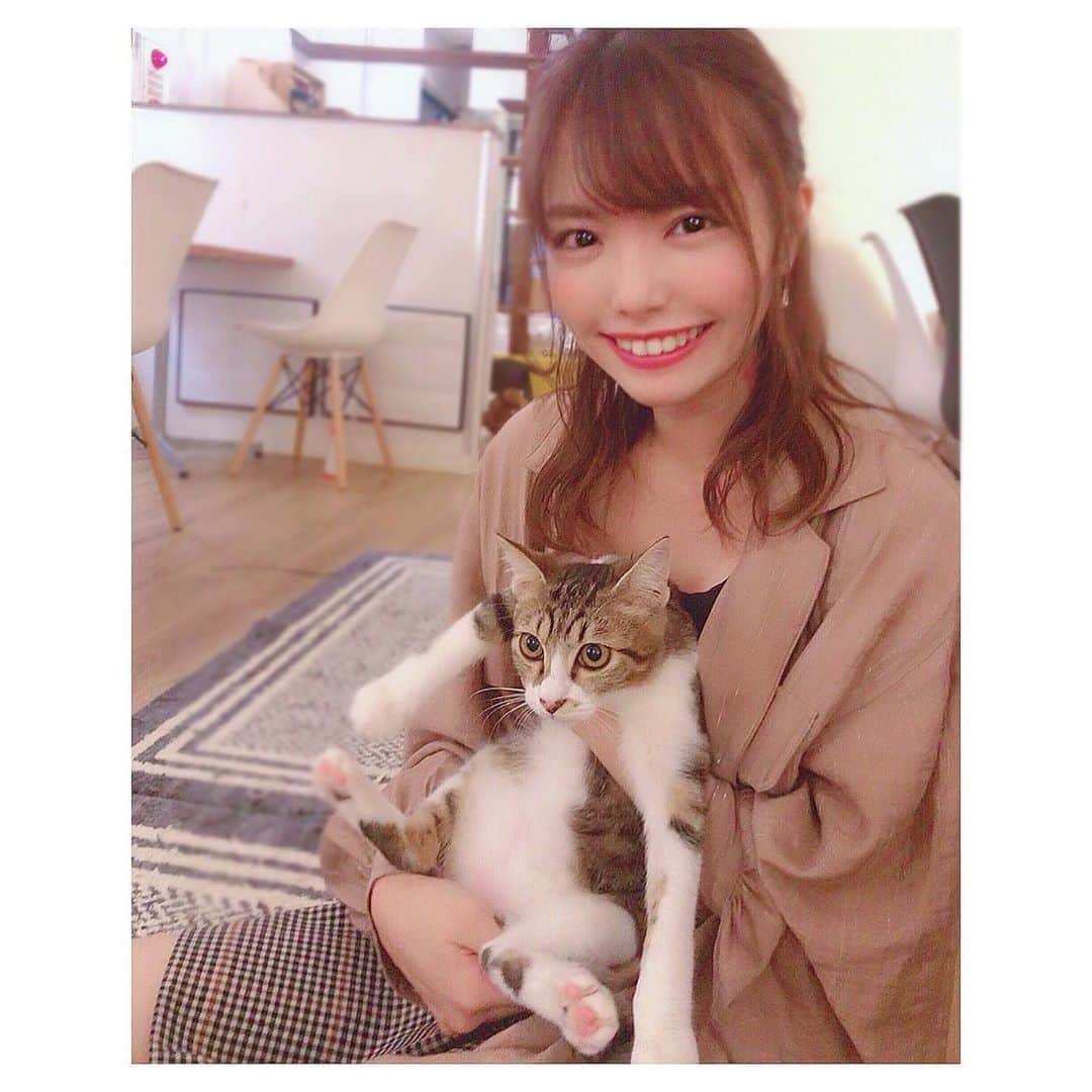 渕上舞さんのインスタグラム写真 - (渕上舞Instagram)「🐱❤︎﻿ ﻿ ﻿ この前初めて #猫カフェ にいってきました〜。﻿ 大名にある、少し遅めの時間まで空いている Neko Cafe Keurig 🐈❤️﻿ ﻿ 少しビビり気味の私にちょこんと人懐っこくきてくれた猫ちゃんに癒されたよ…🥺﻿ ﻿ ﻿ #ねこカフェ #天神カフェ #大名カフェ #はじめて抱っこした気がする #抱っこ初心者」9月13日 21時04分 - mai_fuchigami_48