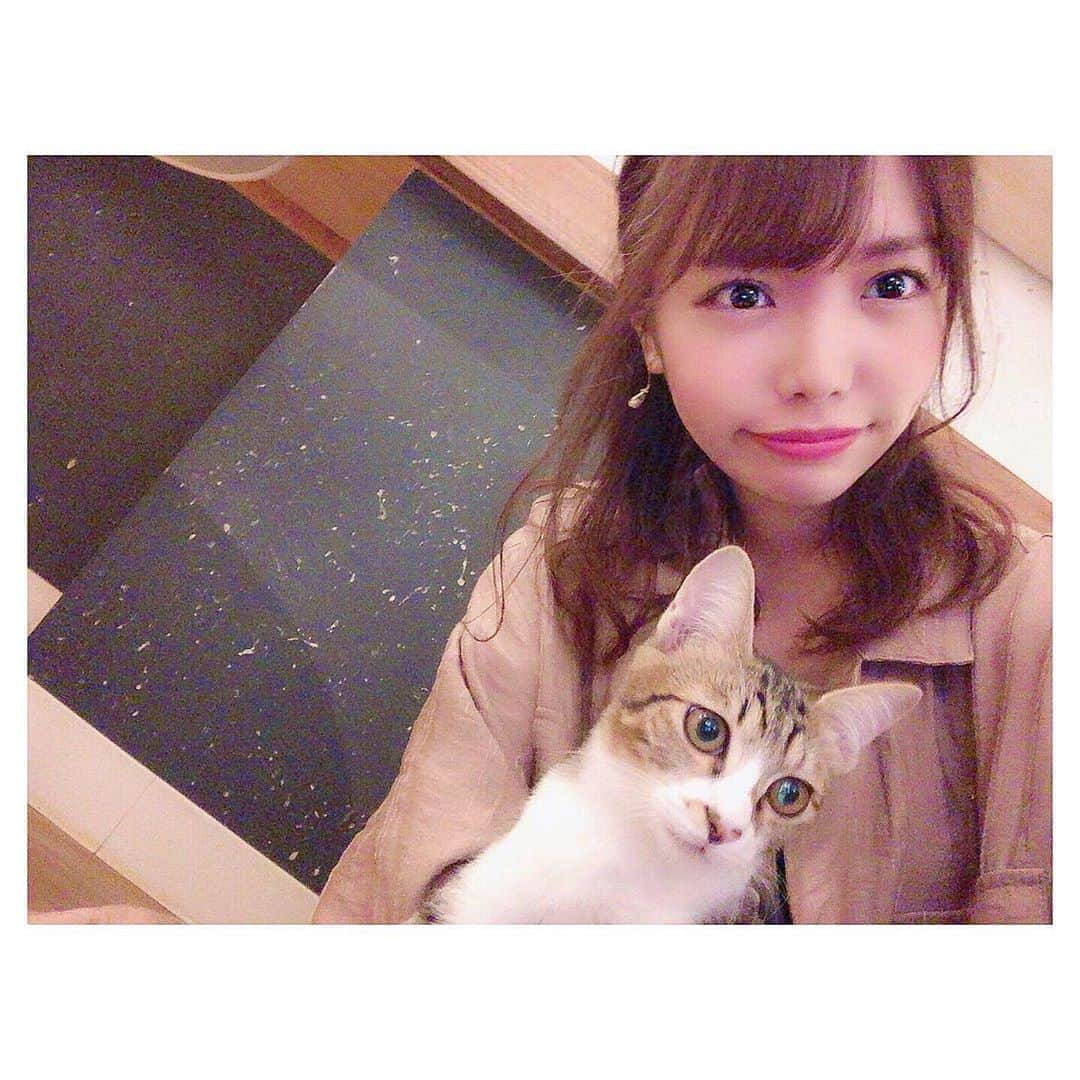 渕上舞さんのインスタグラム写真 - (渕上舞Instagram)「🐱❤︎﻿ ﻿ ﻿ この前初めて #猫カフェ にいってきました〜。﻿ 大名にある、少し遅めの時間まで空いている Neko Cafe Keurig 🐈❤️﻿ ﻿ 少しビビり気味の私にちょこんと人懐っこくきてくれた猫ちゃんに癒されたよ…🥺﻿ ﻿ ﻿ #ねこカフェ #天神カフェ #大名カフェ #はじめて抱っこした気がする #抱っこ初心者」9月13日 21時04分 - mai_fuchigami_48