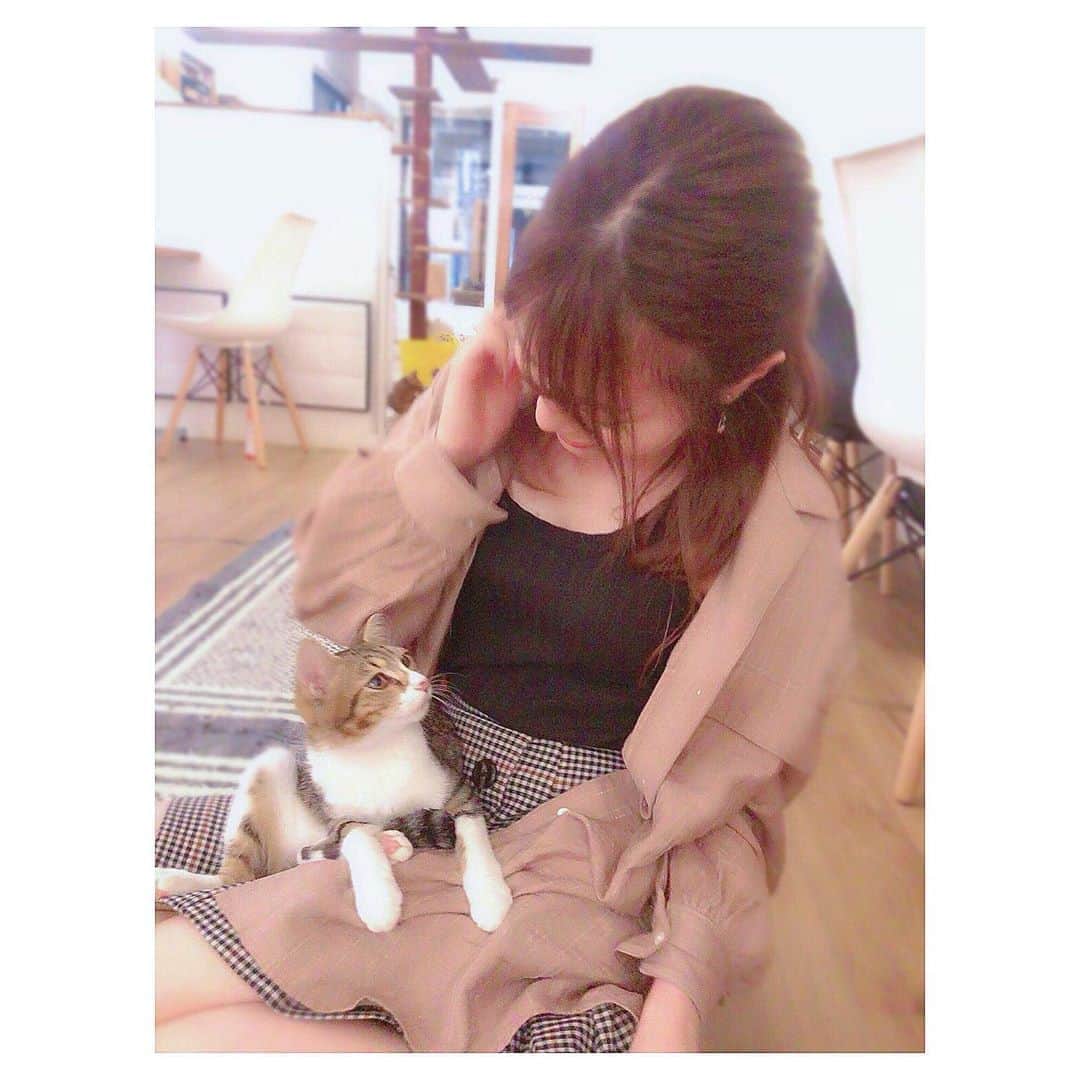 渕上舞さんのインスタグラム写真 - (渕上舞Instagram)「🐱❤︎﻿ ﻿ ﻿ この前初めて #猫カフェ にいってきました〜。﻿ 大名にある、少し遅めの時間まで空いている Neko Cafe Keurig 🐈❤️﻿ ﻿ 少しビビり気味の私にちょこんと人懐っこくきてくれた猫ちゃんに癒されたよ…🥺﻿ ﻿ ﻿ #ねこカフェ #天神カフェ #大名カフェ #はじめて抱っこした気がする #抱っこ初心者」9月13日 21時04分 - mai_fuchigami_48