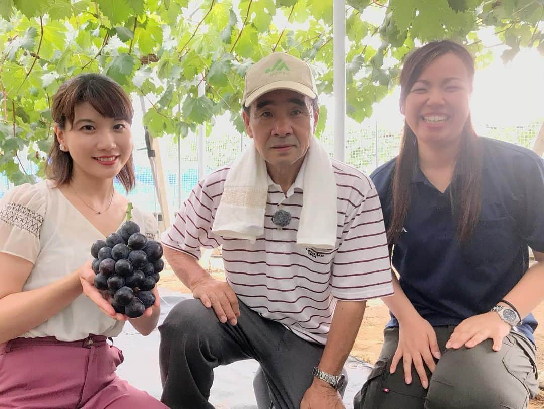 東條麻依子さんのインスタグラム写真 - (東條麻依子Instagram)「【備中県民局特番】 自然と生産者が育む　 備中の『宝石』 絶品フルーツ＆絶品フラワーの秘密を探れ！🔍 . . 【本放送】 9月15日（日）  13時30分～14時 . 【再放送】  9月17日（火）  25時40分～26時10分 . 備中エリアには、 豊かな気候風土と 生産者の熱意に 育まれたいろいろな農産物が 作られていて そのひとつひとつが まるで『宝石』✨のように キラキラ輝いているんです！⭐️ . その中でも高梁市のピオーネと新見市のリンドウの 魅力を探ってきました！！ . たくさんの方の熱意と技術、 そして思いが込められています。ぜひ、ご覧ください😆⭐️ . #備中県民局#ピオーネとリンドウ#輝きの秘密#探れ#放送の中で #虫眼鏡🔍を持って#登場します#テレビせとうち#アナウンサー#ご覧ください」9月13日 21時32分 - maiko_tojo