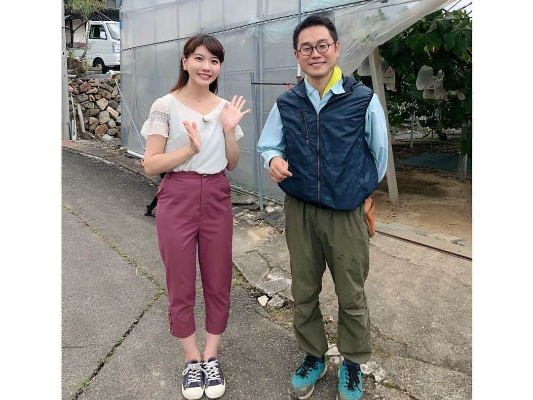 東條麻依子さんのインスタグラム写真 - (東條麻依子Instagram)「【備中県民局特番】 自然と生産者が育む　 備中の『宝石』 絶品フルーツ＆絶品フラワーの秘密を探れ！🔍 . . 【本放送】 9月15日（日）  13時30分～14時 . 【再放送】  9月17日（火）  25時40分～26時10分 . 備中エリアには、 豊かな気候風土と 生産者の熱意に 育まれたいろいろな農産物が 作られていて そのひとつひとつが まるで『宝石』✨のように キラキラ輝いているんです！⭐️ . その中でも高梁市のピオーネと新見市のリンドウの 魅力を探ってきました！！ . たくさんの方の熱意と技術、 そして思いが込められています。ぜひ、ご覧ください😆⭐️ . #備中県民局#ピオーネとリンドウ#輝きの秘密#探れ#放送の中で #虫眼鏡🔍を持って#登場します#テレビせとうち#アナウンサー#ご覧ください」9月13日 21時32分 - maiko_tojo