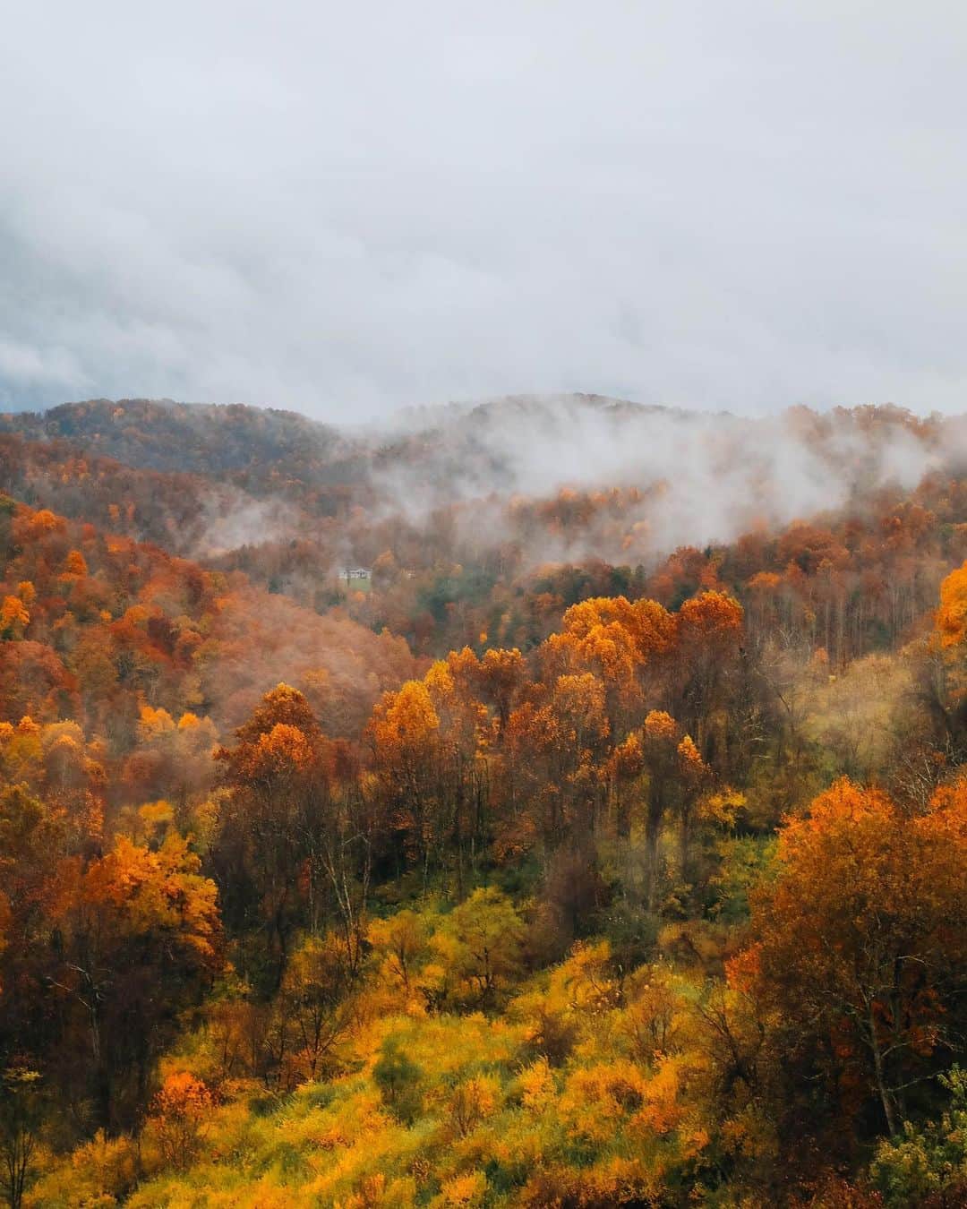 FOLKさんのインスタグラム写真 - (FOLKInstagram)「I’m so insanely proud of this photo. I want to make a massive print of it. I was driving from Ky to NYC last autumn and the mountains of West Virginia were just full of life.」9月13日 22時04分 - folkmagazine