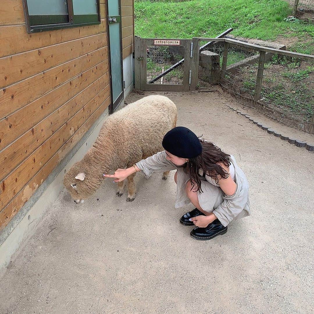 のインスタグラム：「* * 暇さえあれば牧場 行きたい 🦙🐑🐏🐄 _ #マザー牧場」