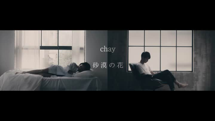 chayのインスタグラム