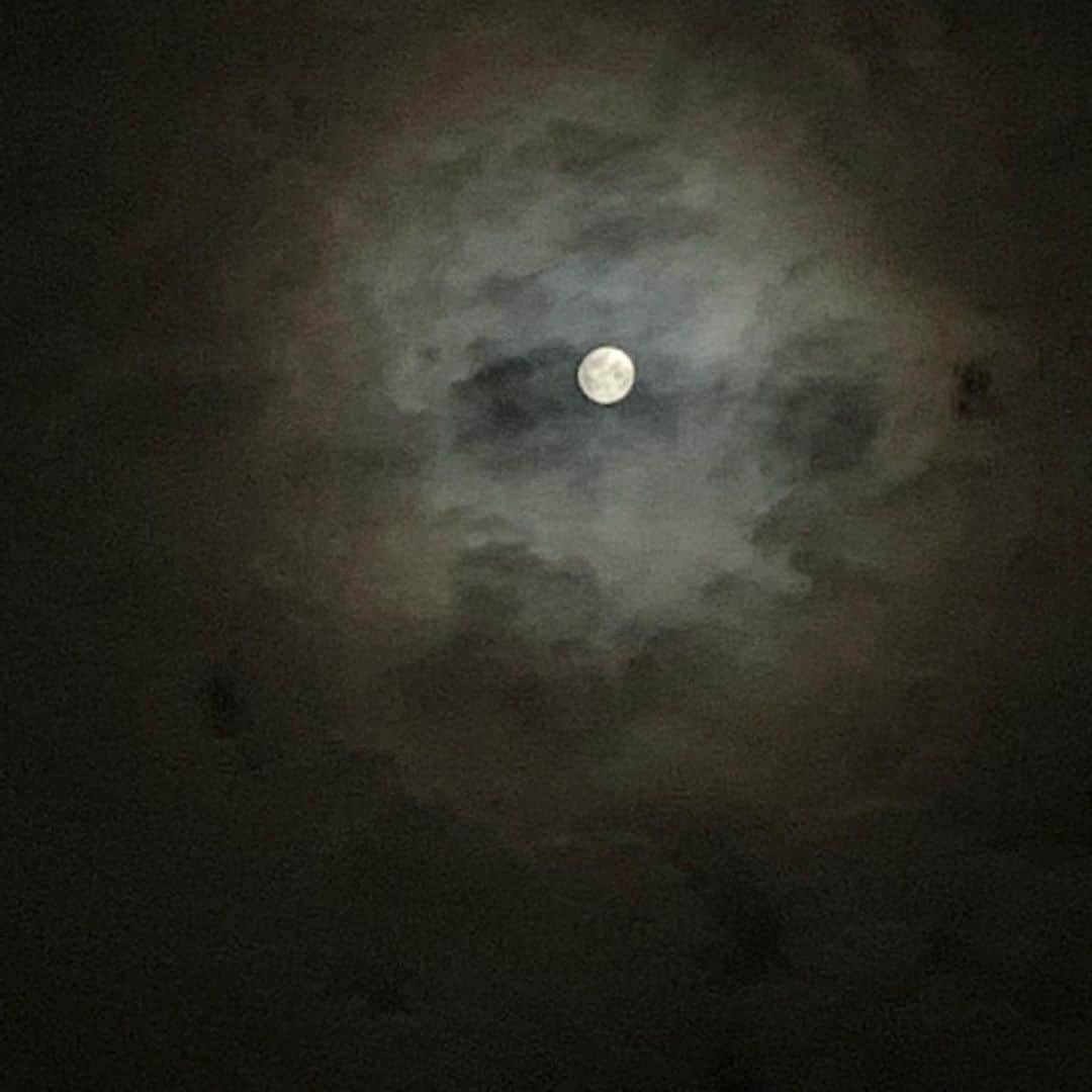 光永亮太さんのインスタグラム写真 - (光永亮太Instagram)「ウッドデッキ出て空を見上げたら中秋の名月、見れた。 ツイッターにかかりっきりで、インスタ上げられなかった。  早く被災地に平穏が戻りますように。  #心はいつも傍に」9月13日 22時30分 - mitsunagaryota