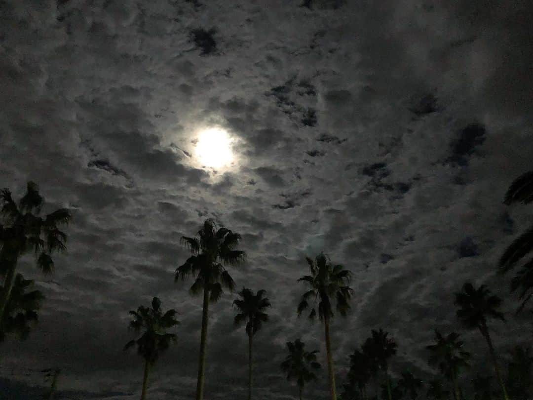 スミス楓さんのインスタグラム写真 - (スミス楓Instagram)「十五夜お月様🐇🌾なんだね、今日。 雲いっぱいだけど見れた ♡♡♡ ₉₁₃」9月13日 22時54分 - kaede_929