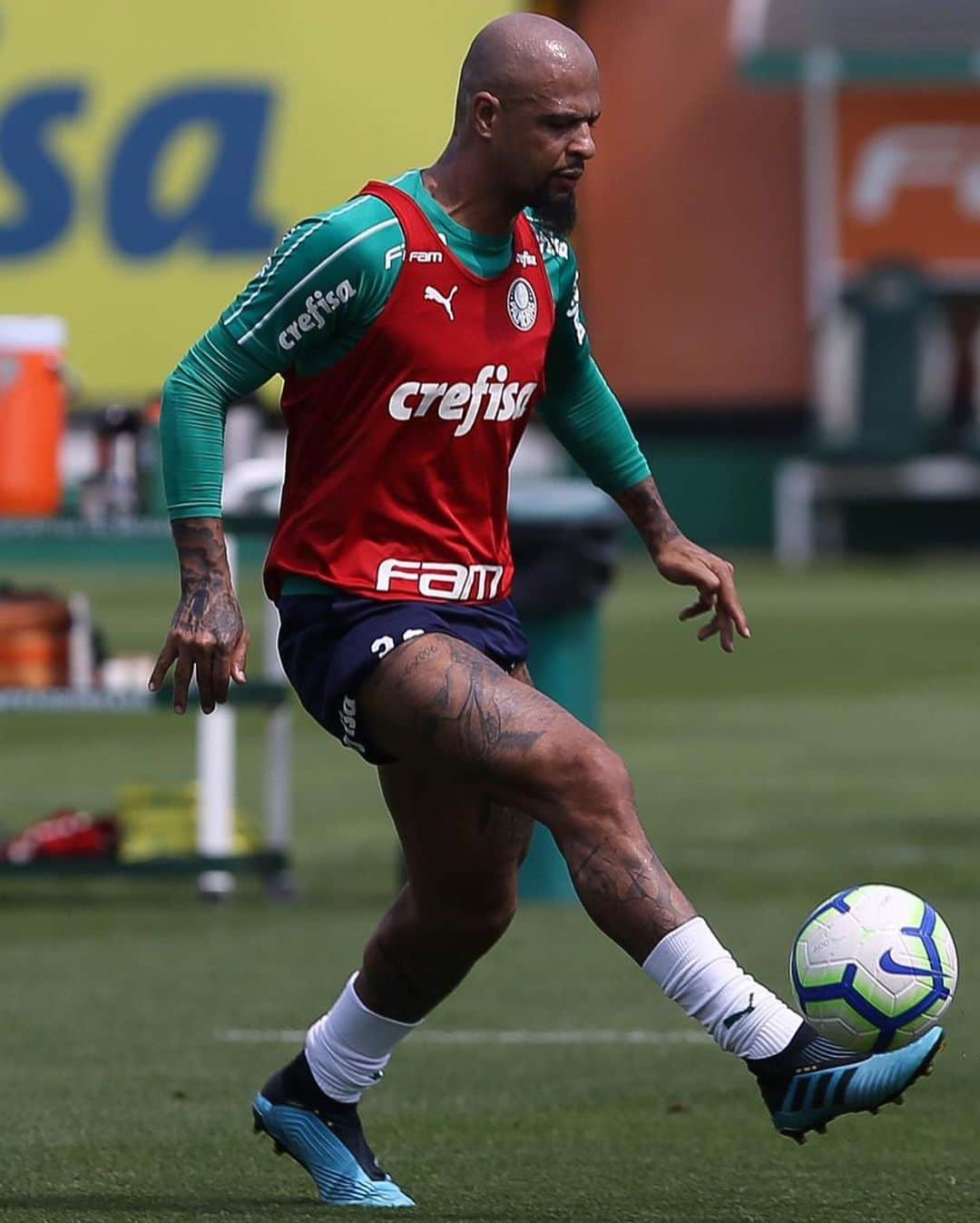 フェリペ・メロさんのインスタグラム写真 - (フェリペ・メロInstagram)「Seguimos a preparação. #obrigadoJesus #treino #palmeiras #preparacao #ousado #grandescoisasestaoporvir #eucreio #anodamultiolicação #naoimportaoquedigam #meualvoecristo」9月13日 23時15分 - felipemelo