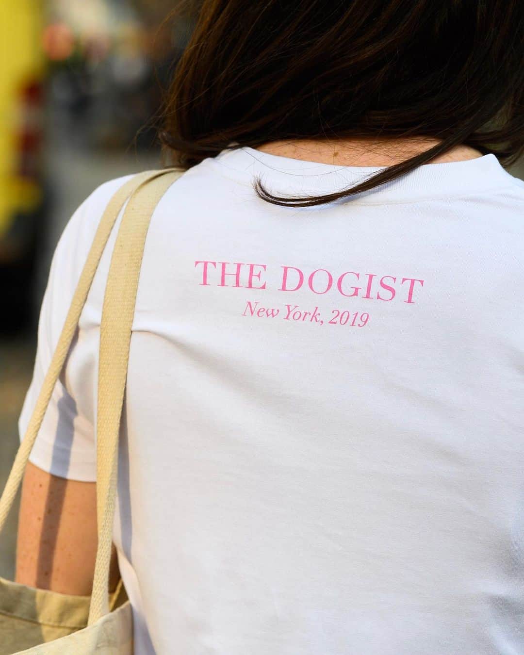 The Dogistさんのインスタグラム写真 - (The DogistInstagram)「Introducing Dogist BIG logo tees, in navy, grey, and PRIDE colors. Don’t be humble about who you love – dogs or people. Shop now at the link in bio ❤️」9月14日 0時03分 - thedogist