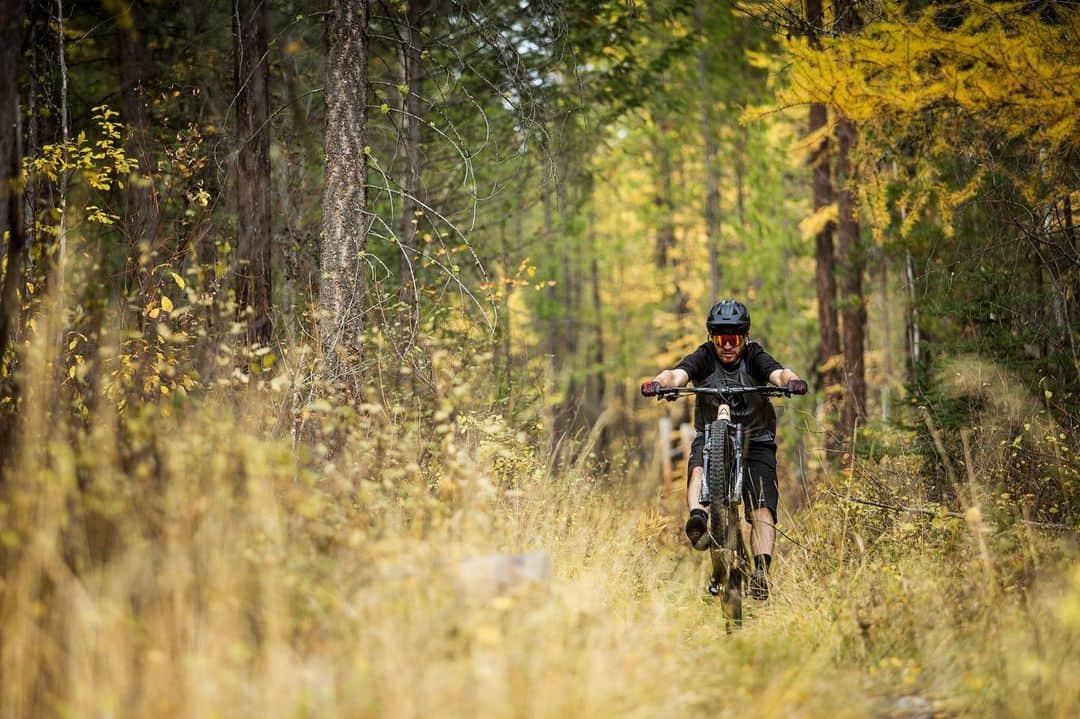 Fuji Bikesさんのインスタグラム写真 - (Fuji BikesInstagram)「Ready to one-wheel-it right into the weekend. ⁣ Have you checked to the Fuji Rakan? It’s a 29” wheeled trail horse, ready to tackle whatever your off road adventures end up throwing at you. ⁣ ⁣ ⁣ 🚵🏼‍♂️: @the_real_skidiot ⁣ 📸: @jamescattanach ⁣ ⁣ ⁣ ⁣ #fujibikes #fujirakan #fujiauric #morefunonafuji #conqueryourmountain」9月14日 0時08分 - fujibikes