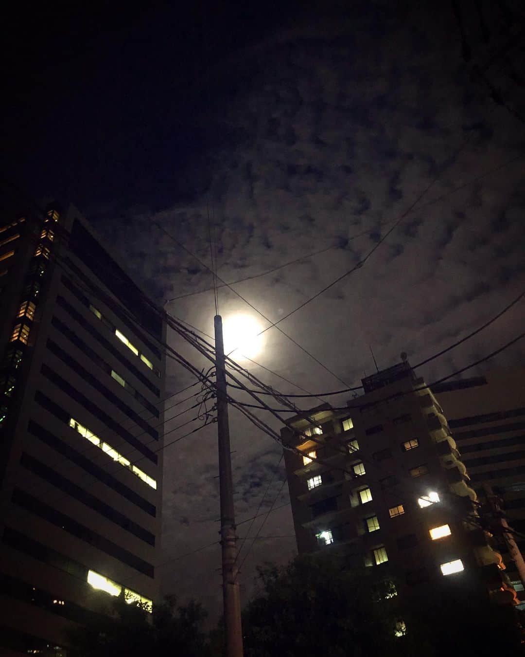 木下ココさんのインスタグラム写真 - (木下ココInstagram)「私の見た中秋の名月は 雲が霞めるおぼろ月夜でした🌕  月を眺める日を作るなんて、日本の風習には風情があってほんとに素敵🎑 ・ ・ #両面焼きの目玉焼き🍳 #13日の金曜日 #みんなが月を眺める日🌝 #お月見」9月14日 11時21分 - cocot_chan