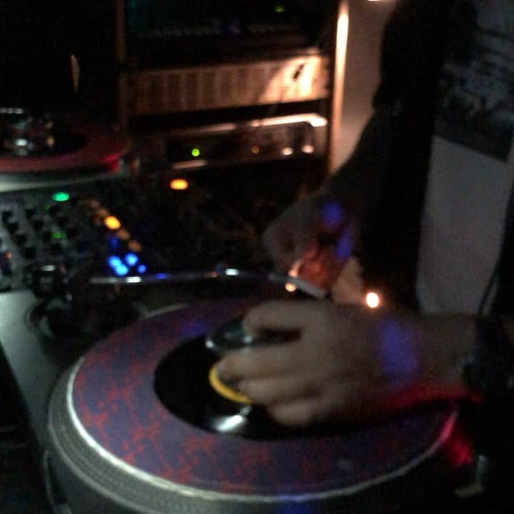 堤信子のグルメインスタ