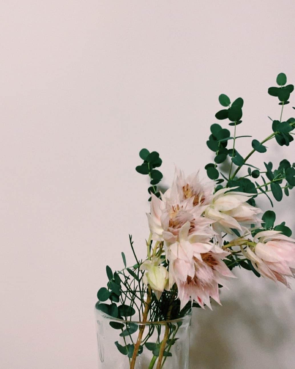 のインスタグラム：「お店入った瞬間に「髪きりましたね！！！」って声かけてくれる花屋のおねえさん」