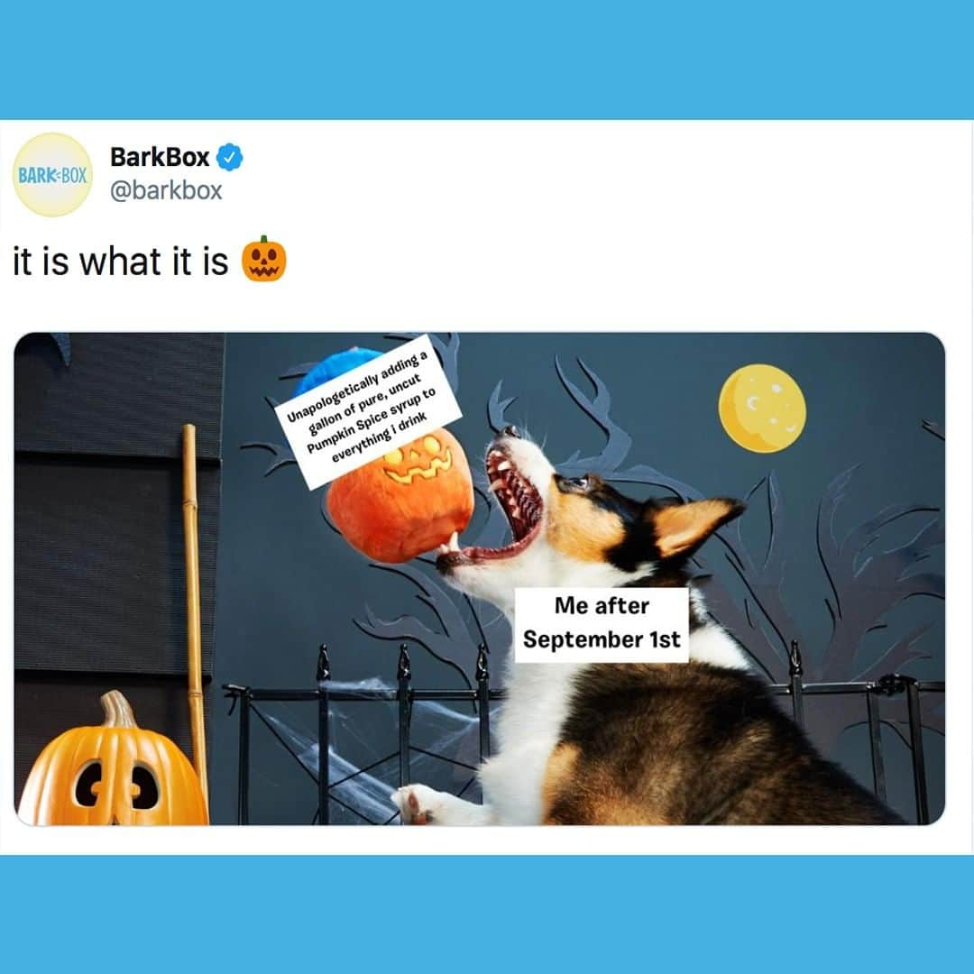 BarkBoxさんのインスタグラム写真 - (BarkBoxInstagram)「and what it is..... is Fall.」9月14日 2時40分 - barkbox