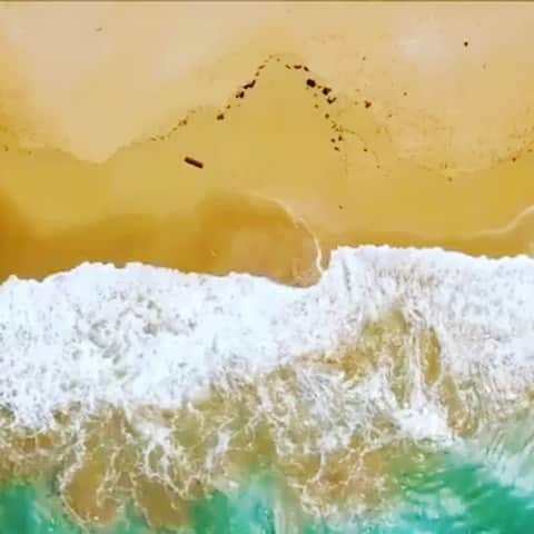 アレッサンドラ・アンブロジオのインスタグラム