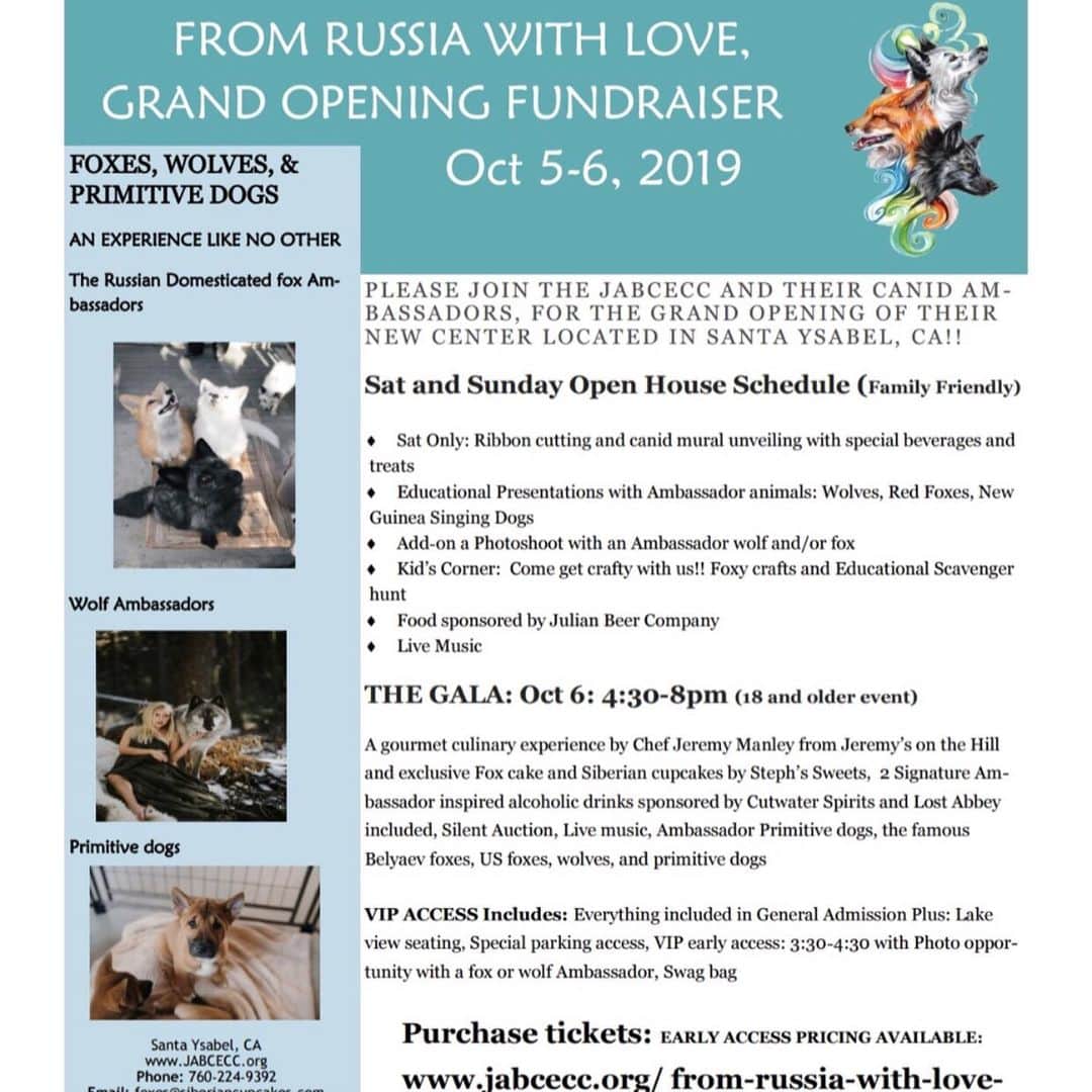 Rylaiさんのインスタグラム写真 - (RylaiInstagram)「Grand Opening Update! From Russian w/ Love! Oct 5-6, 2019 . Just about three weeks left to secure your tickets!!! Join us for the family friendly daytime open house or the fancy gala! . We have amazing Sponsors: @julianbeerco @parcelsandbliss @lostabbey @jeremysonthehill @sandiegosustainablechef @stephanieeesmith @_.stephssweets._ @cutwaterspirits . Amazing donated one of a kind artwork, photography and other fun stuff for the silent auction!! Thank you to those that have donated!! Pictured: @menis_art @brinkmanph  @Cyrena rose @noviflutters @nicolewildeaboutdogs  Join us in our love for Canid Conservation and meet our Ambassadors and their friends!! . Add on Photoshoots available!  VIP access to the gala includes a photo with a fox or wolf Ambassador!! . Tickets are on sale at the website! www.jabcecc.org . #lovefoxes #supportlocal #donate #sponsor #fundraiser #foxes #wolves #primitivedogs #sandiegoevents #sandiegolocal #hiddensandiego #jabcecc #conservation #thingstodo #encounters #animalencounters #foxesofig #wolvesofinstagram」9月14日 3時48分 - jabcecc