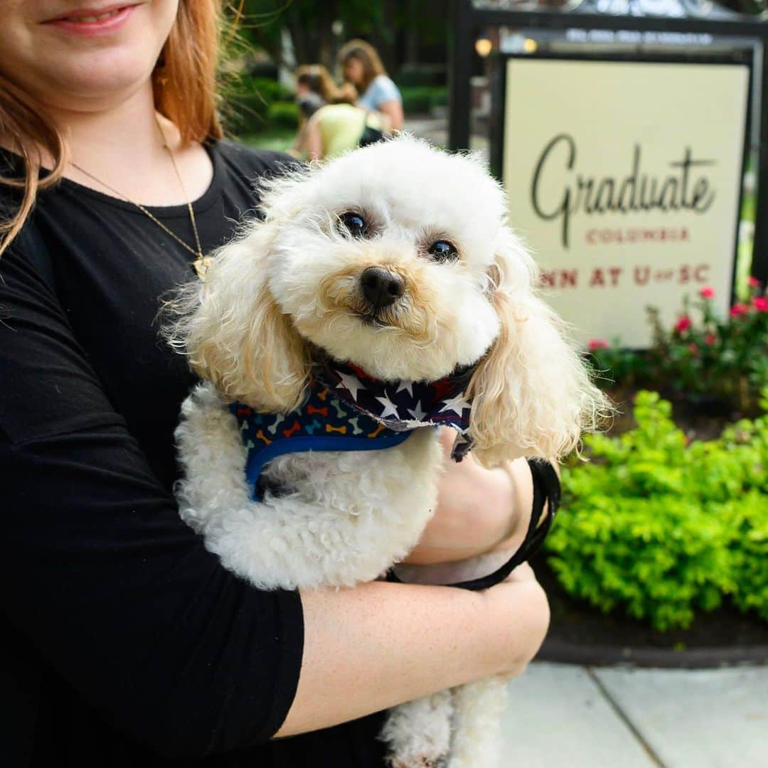 The Dogistさんのインスタグラム写真 - (The DogistInstagram)「Thanks to everyone who came out to our event at the very pet-friendly @graduatecolumbiasc! I ran out of cookies within the first hour, so apologies to any dog who didn’t get one for the #cookiecam. Looking forward to the next meetup event at @graduateathens on 9/19, 5-8 pm #sponsored」9月14日 4時04分 - thedogist